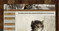 Desktop Screenshot of cat-wood-maine.com