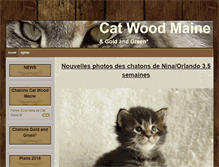 Tablet Screenshot of cat-wood-maine.com